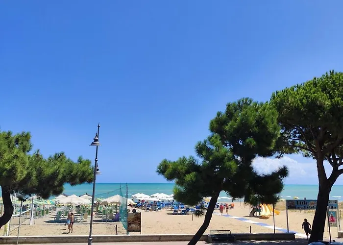 Cri Cri - Fronte Silvi Marina